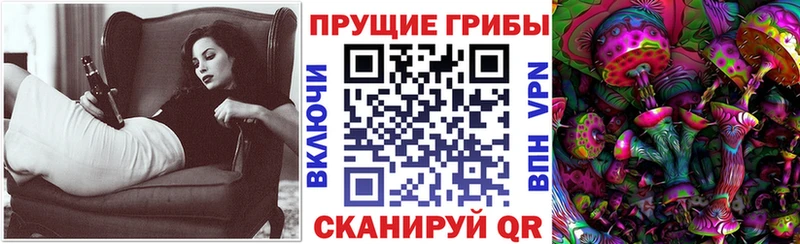 Псилоцибиновые грибы GOLDEN TEACHER Почеп